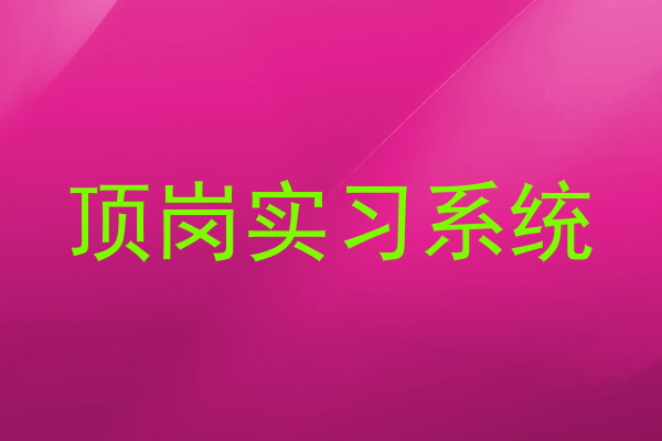 顶岗实习系统