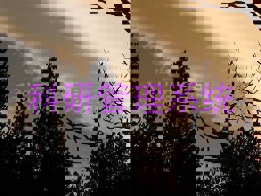 科研管理系统