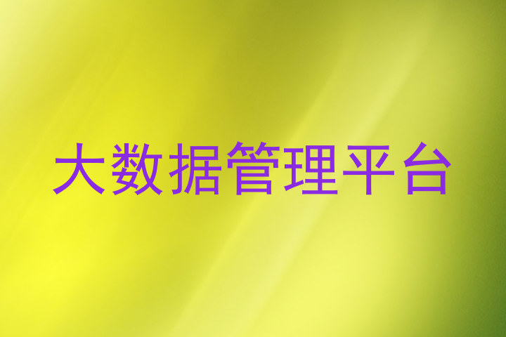 大数据管理平台