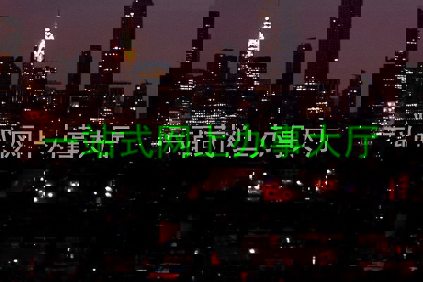 一站式网上办事大厅