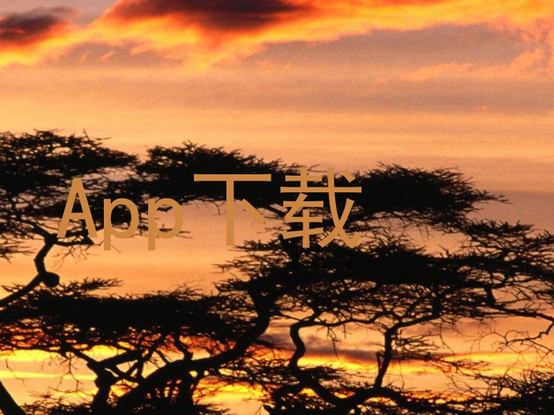 App下载
