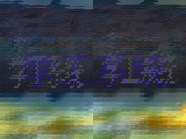 学工系统