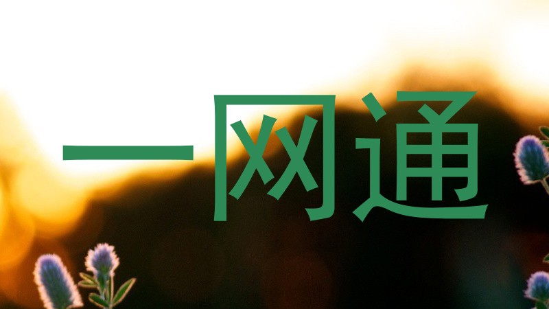 一网通