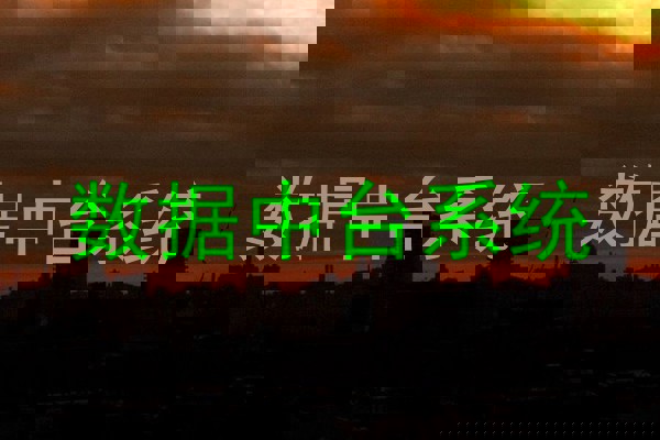 数据中台系统