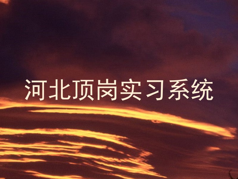 河北顶岗实习系统