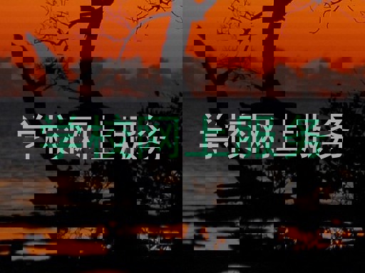 学校网上服务