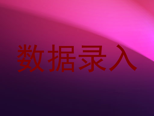 数据录入