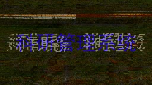 科研管理系统