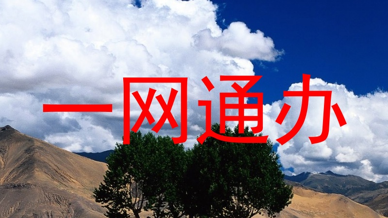 一网通办