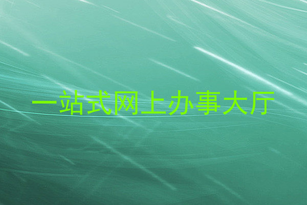 一站式网上办事大厅