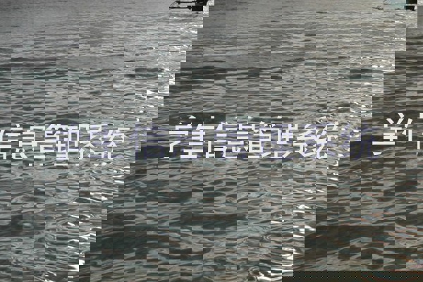 学生信息管理系统
