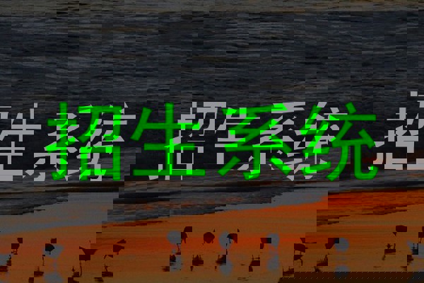 招生系统