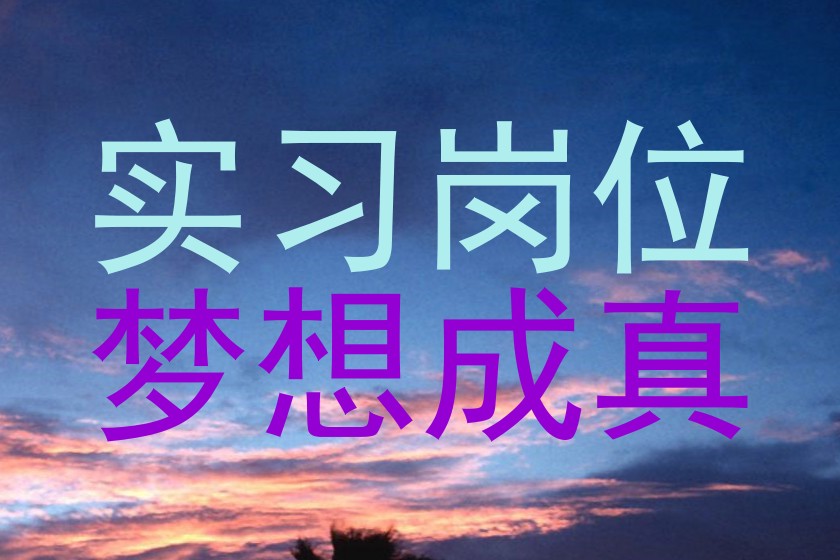 实习岗位