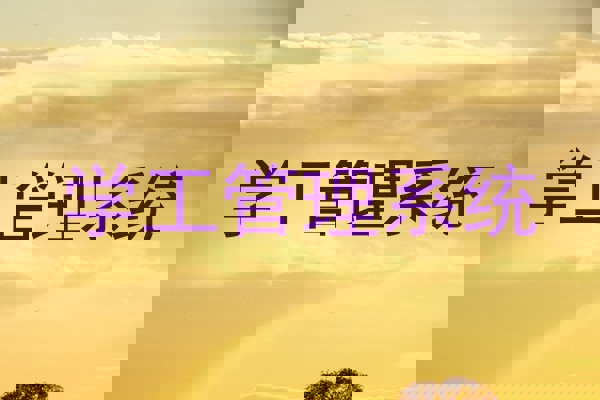 学工管理系统