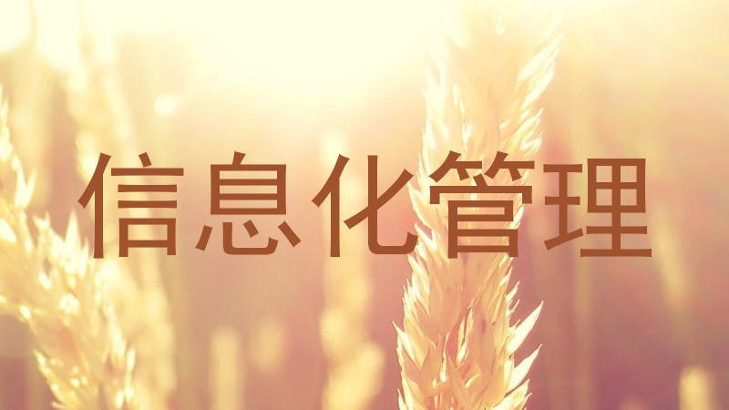 信息化管理
