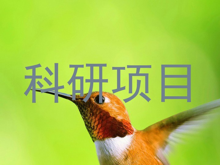 科研项目