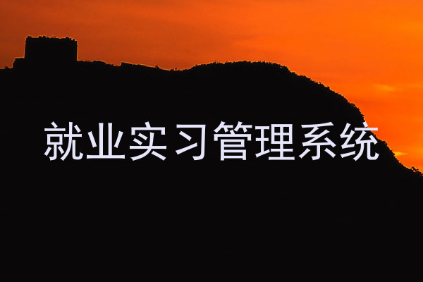 就业实习管理系统