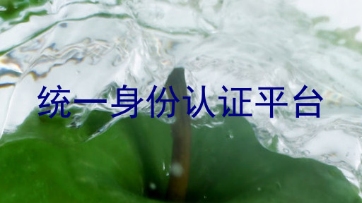 统一身份认证平台