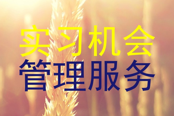 实习机会