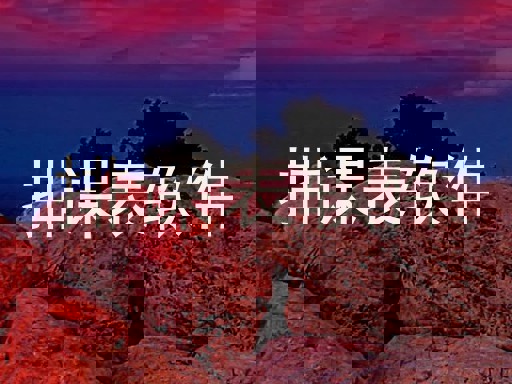 排课表软件