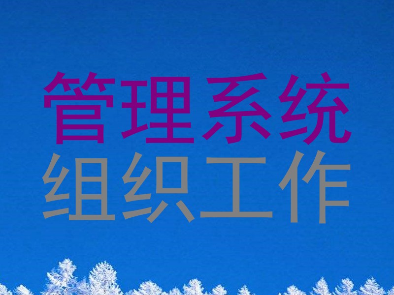 管理系统