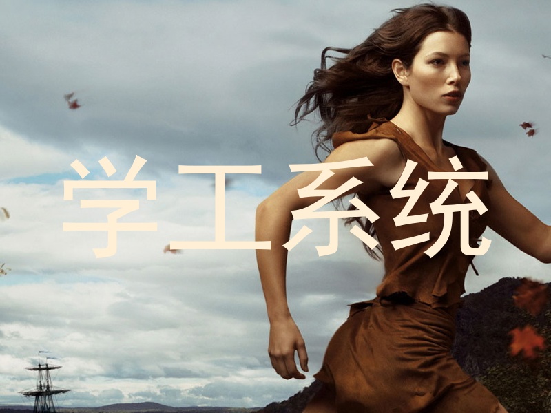 学工系统