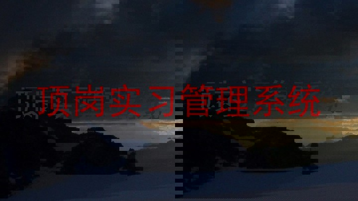 顶岗实习管理系统