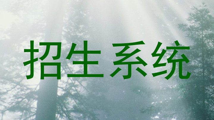 招生系统