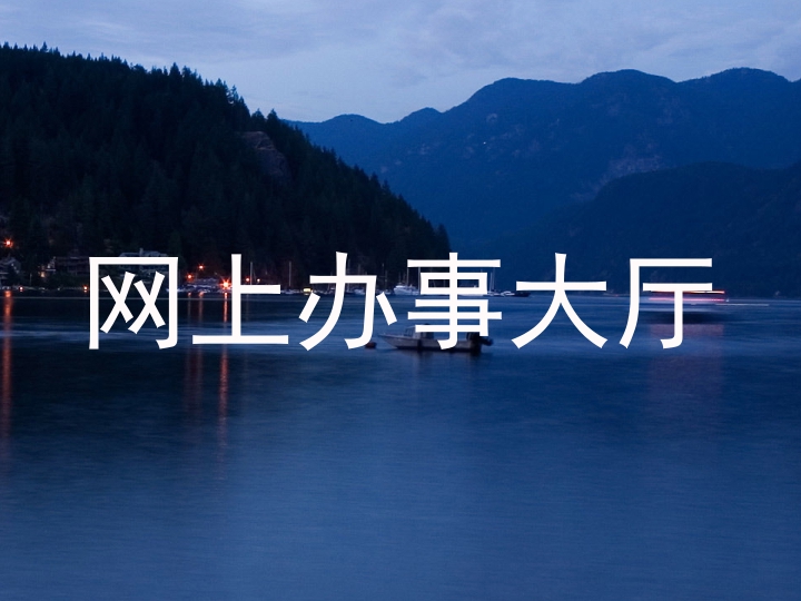 网上办事大厅