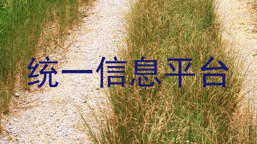 統(tǒng)一信息平臺