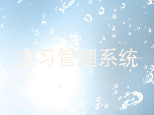 实习管理系统