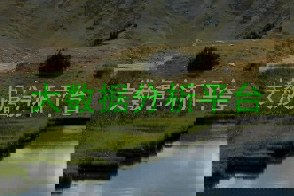 大数据分析平台