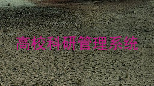 高校科研管理系统