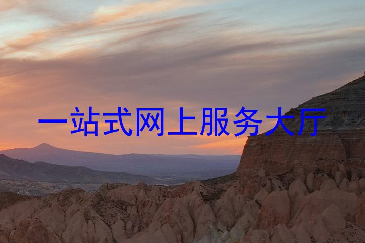 一站式网上服务大厅