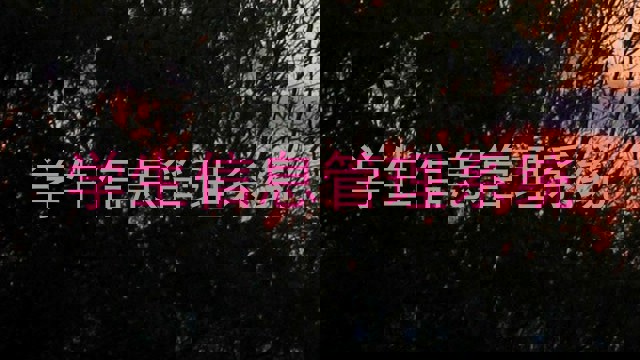 学生信息管理系统