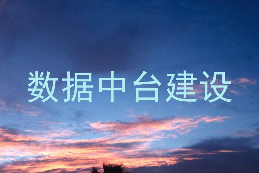 数据中台建设