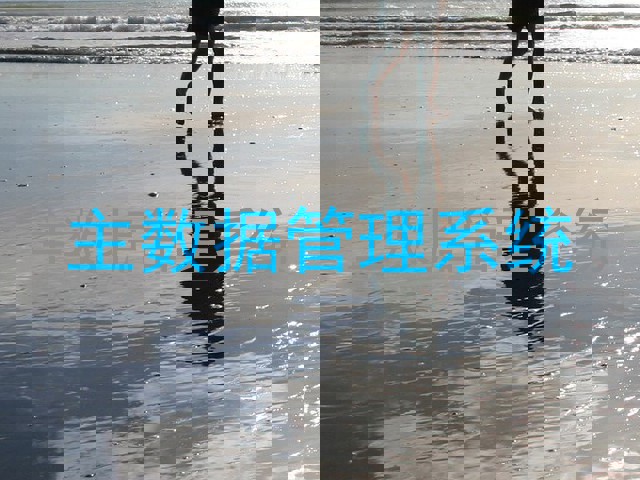 主数据管理系统