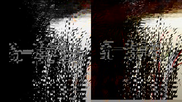 統(tǒng)一消息推送