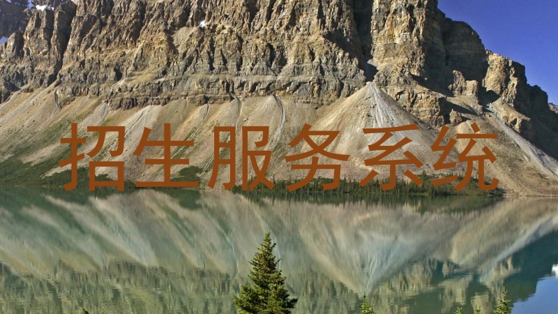 招生服务系统