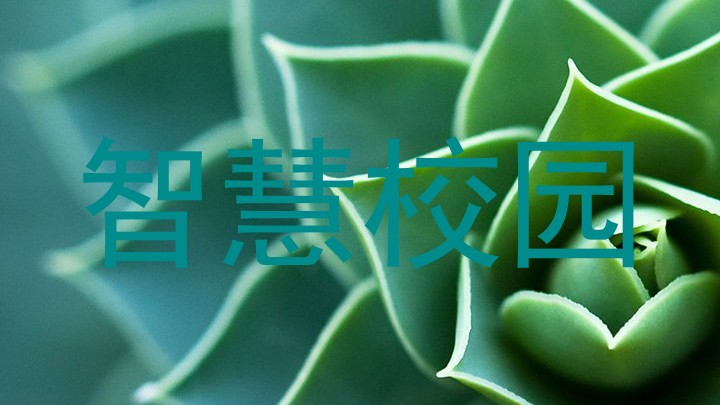 智慧校园