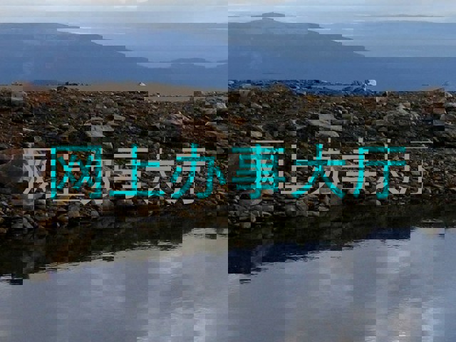 网上办事大厅