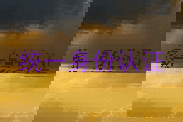 统一身份认证