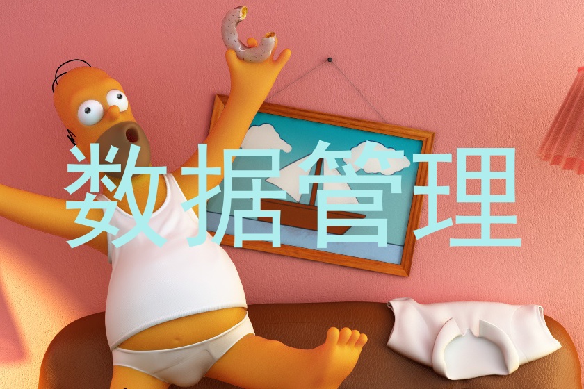 数据管理