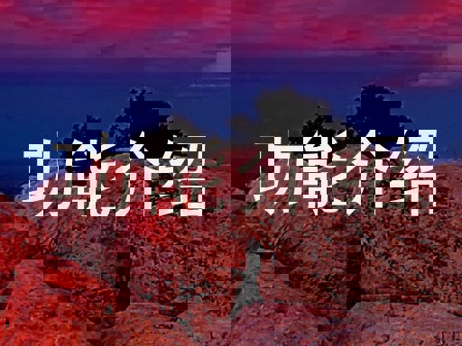 功能介绍