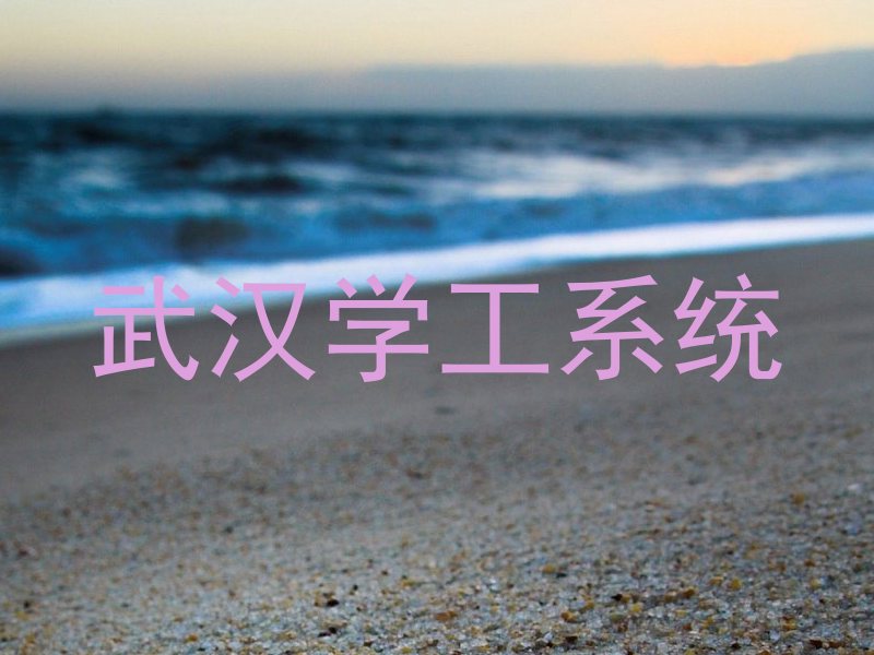 武汉学工系统