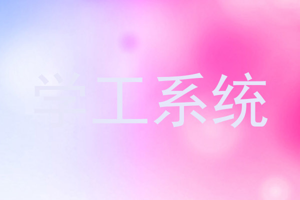 学工系统