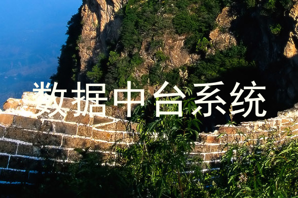 数据中台系统