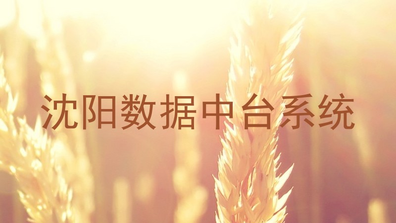 沈阳数据中台系统