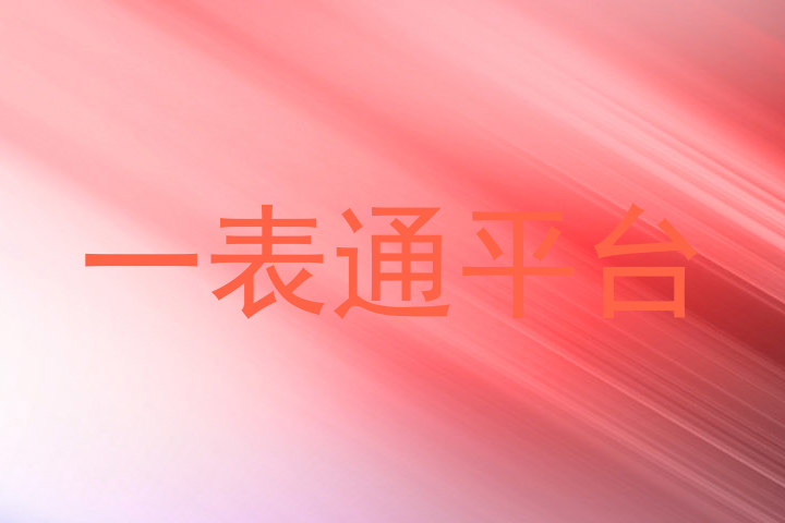 一表通平台