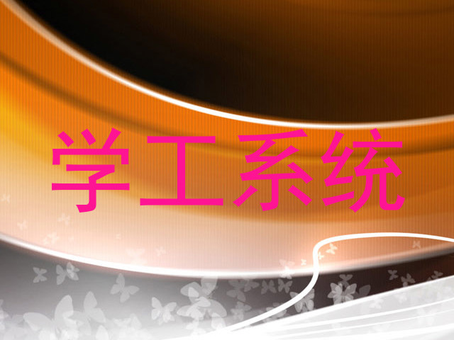 学工系统
